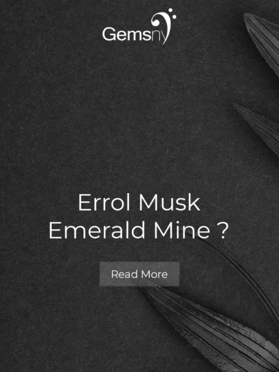 Elon Musk Emerald Mine?